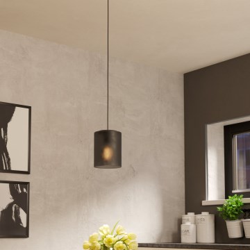 Eglo - Chandelier on a string 1xE27/40W/230V grey