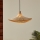 Eglo - Chandelier on a string 1xE27/40W/230V