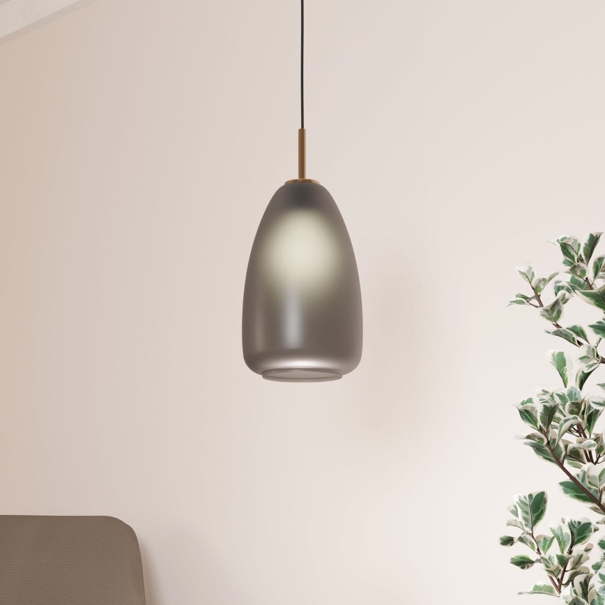 Eglo - Chandelier on a string 1xE27/40W/230V