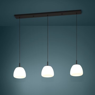 Eglo - Chandelier on a string 3xE27/40W/230V black