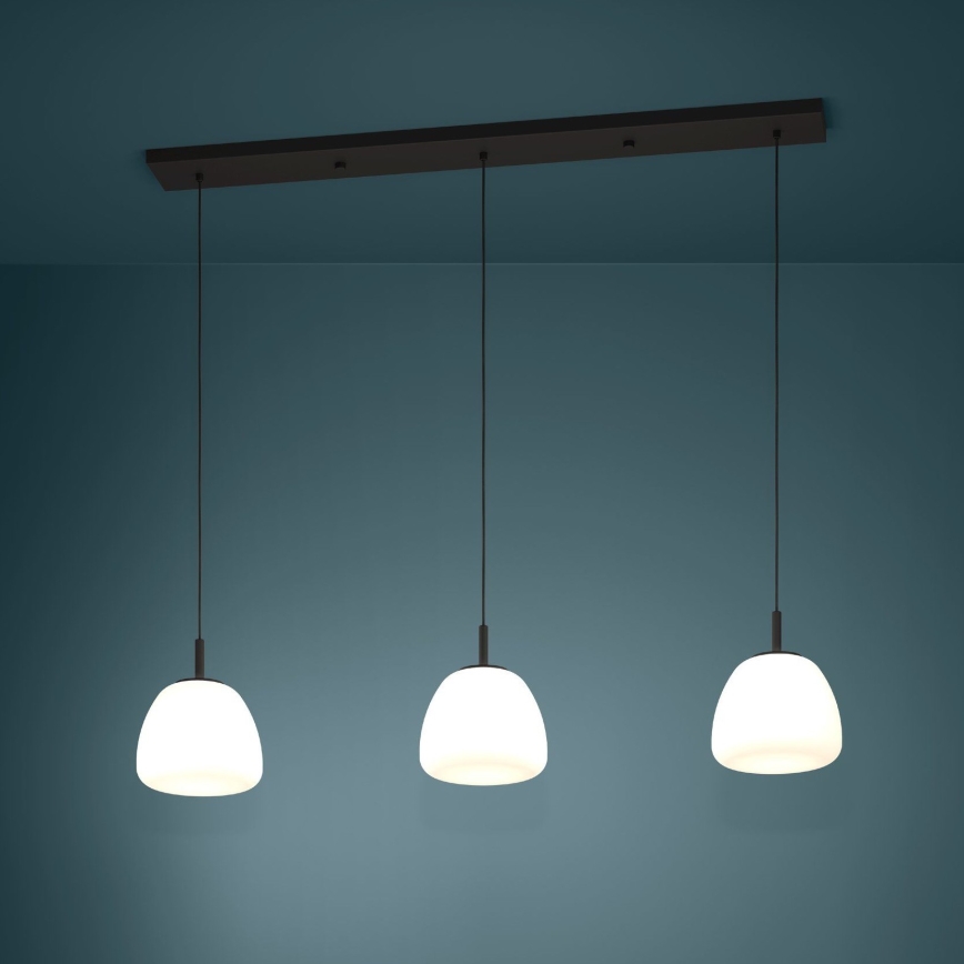 Eglo - Chandelier on a string 3xE27/40W/230V black