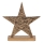 Eglo - Christmas decoration 21x20,5 cm star/gold