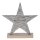 Eglo - Christmas decoration 21x20,5 cm star/silver