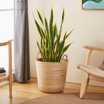 Eglo - Decorative basket 41x36 cm rattan