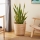 Eglo - Decorative basket 41x36 cm rattan