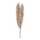 Eglo - Dried flower 55 cm beige