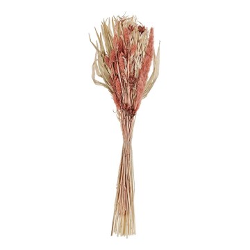 Eglo - Dried flower 60 cm orange