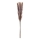 Eglo - Dried flower 60 cm purple
