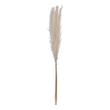 Eglo - Dried flower 70 cm white