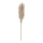 Eglo - Dried flower 85 cm beige