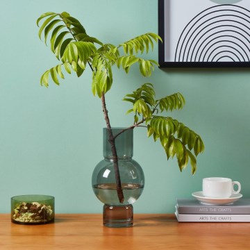 Eglo - Glass vase 28x15,5 cm black