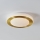 Eglo - LED Bathroom ceiling light LED/10,8W/230V IP44