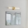Eglo - LED Bathroom Mirror Light, 11W, 230V, 3000/4000/6500K, 60 cm, IP44, Gold