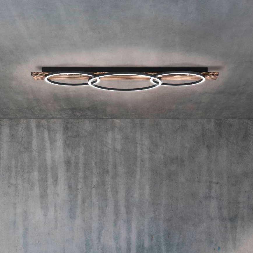 Eglo - LED Ceiling light 2xLED/12W/230V + LED/12W