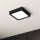Eglo - LED Ceiling light LED/10,5W/230V