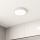 Eglo - LED Ceiling light LED/16,5W/230V