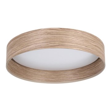 Eglo - LED Ceiling light LED/24W/230V