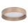 Eglo - LED Ceiling light LED/24W/230V