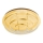 Eglo - LED Ceiling light LED/24W/230V