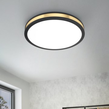 Eglo - LED Ceiling light LED/24W/230V
