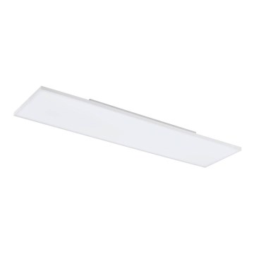 Eglo - LED Ceiling light LED/31,5W/230V