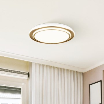 Eglo - LED Ceiling Light LED/36W/230V Ø49 cm Gold