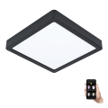 Eglo - LED Dimmable bathroom ceiling light LED/16,5W/230V IP44 ZigBee