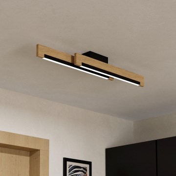 Eglo - LED Dimmable ceiling light 2xLED/10W/230V