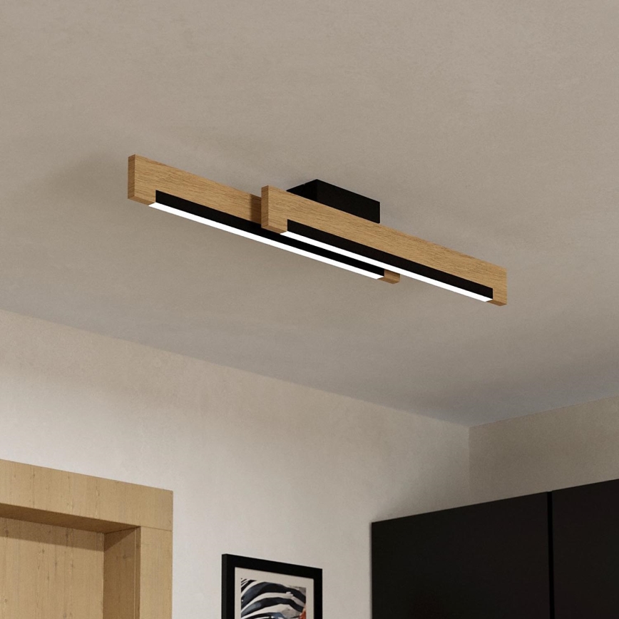 Eglo - LED Dimmable ceiling light 2xLED/10W/230V