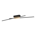 Eglo - LED Dimmable ceiling light 2xLED/13W/230V