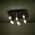 Eglo - LED Dimmable ceiling light 9xLED/3,1W/230V 3000K anthracite/gold