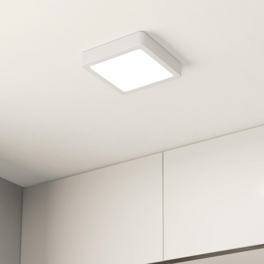 Eglo - LED Dimmable ceiling light LED/11W/230V white