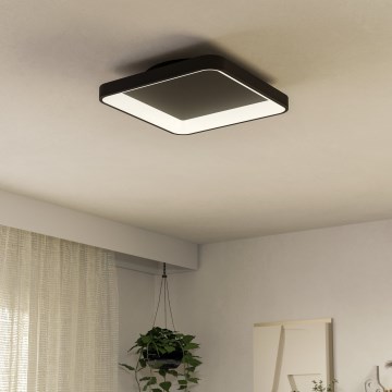 Eglo - LED Dimmable ceiling light LED/12W/230V 2700-6500K black + remote control