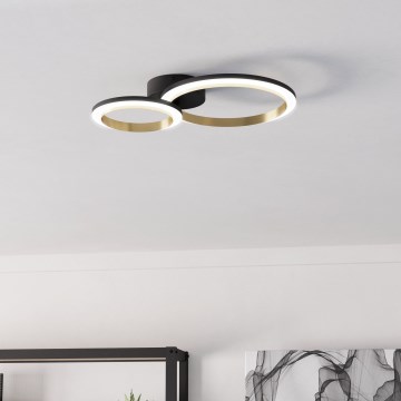 Eglo - LED Dimmable ceiling light LED/12W/230V 4000K black/gold