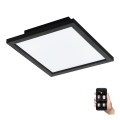 Eglo - LED Dimmable ceiling light LED/15,3W/230V 2700-6500K black ZigBee