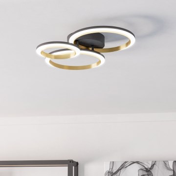 Eglo - LED Dimmable ceiling light LED/20W/230V 4000K black/gold