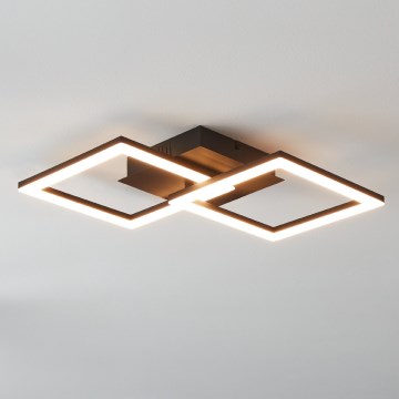 Eglo - LED Dimmable ceiling light LED/21,5W/230V