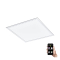 Eglo - LED Dimmable ceiling light LED/21,5W/230V white ZigBee