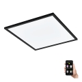Eglo - LED Dimmable ceiling light LED/33W/230V black ZigBee