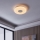 Eglo - LED Dimmable ceiling light LED/44,8W/230V 2700-6500K ZigBee