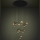 Eglo - LED Dimmable chandelier on a string 10xLED/2,3W/230V 3000K d. 58 cm