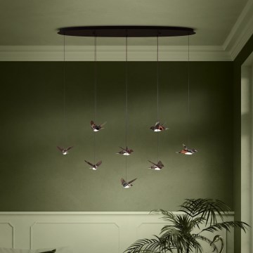 Eglo - LED Dimmable chandelier on a string 8xLED/4,2W/230V 3000K black