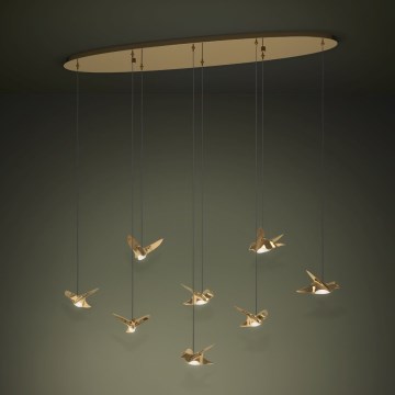Eglo - LED Dimmable chandelier on a string 8xLED/4,2W/230V 3000K gold