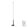 Eglo - LED Dimmable floor lamp LED/14W/230V 2700-6500K + remote control