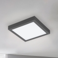 Eglo - LED Dimmable outdoor light ARGOLIS-C LED/22W/230V IP44 Bluetooth