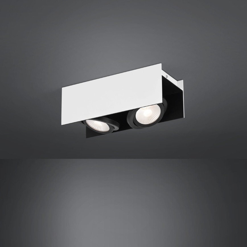 Eglo - LED Dimmable spotlight 2xLED/5,4W/230V
