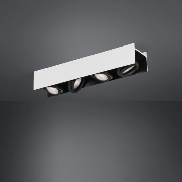 Eglo - LED Dimmable spotlight 4xLED/5,4W/230V