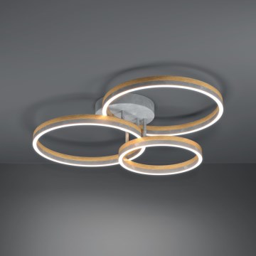 Eglo - LED Dimmable surface-mounted chandelier LED/12,5W/230V + 2xLED/15,5W 3000K grey/oak
