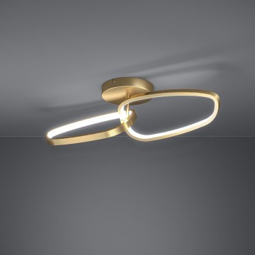 Eglo - LED Dimmable surface-mounted chandelier LED/25W/230V 3000K gold