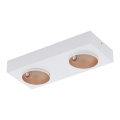Eglo - LED Dimming ceiling light 2xLED/3,3W/230V